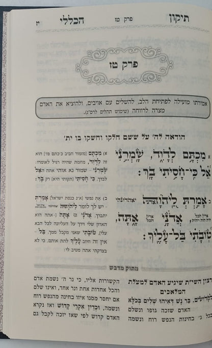 תיקון הכללי מתוק מדבש - פורמט גדול / הרב דניאל פריש זצוק"ל