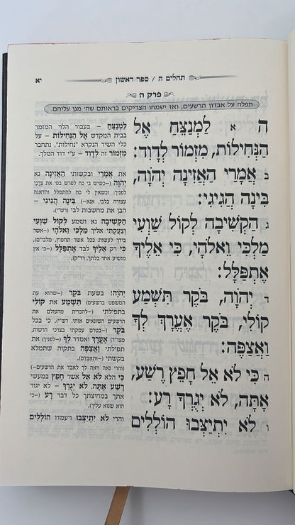 תהילים המפורש - ללא מבוא / פורמט גדול