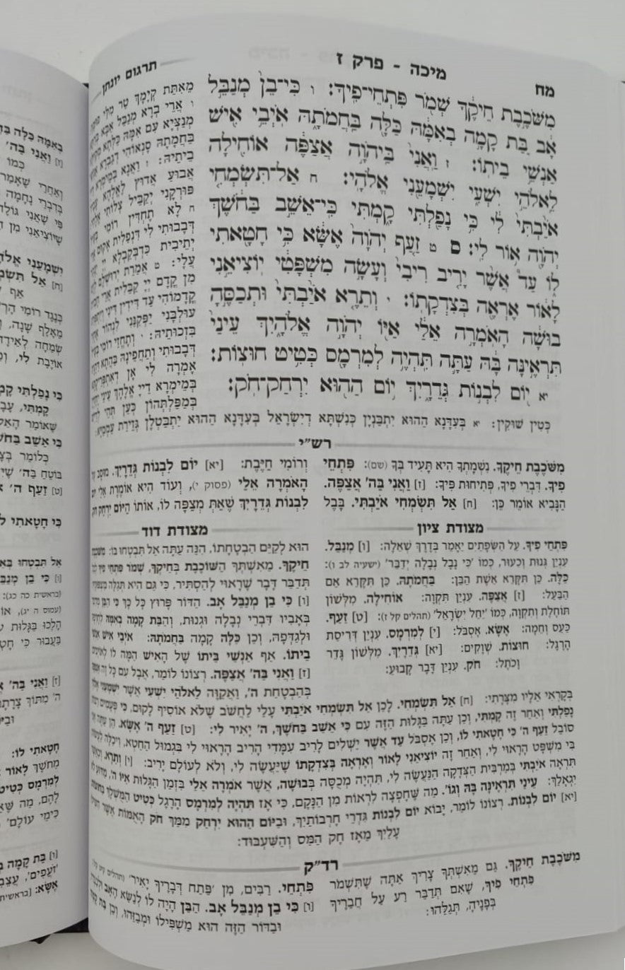 נ"ך מקראות גדולות לתלמידים - תרי עשר / עוז והדר