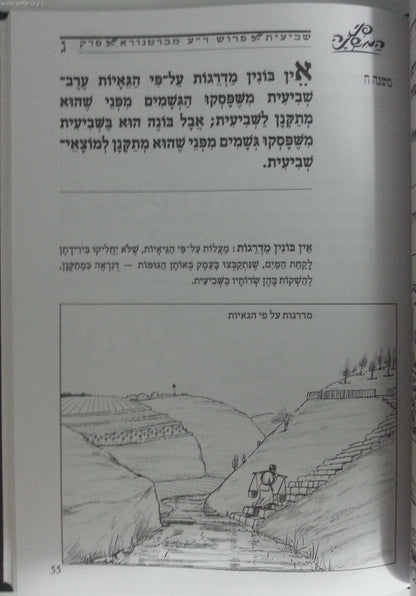 משניות מצויירות - מסכת שביעית / פני המשנה