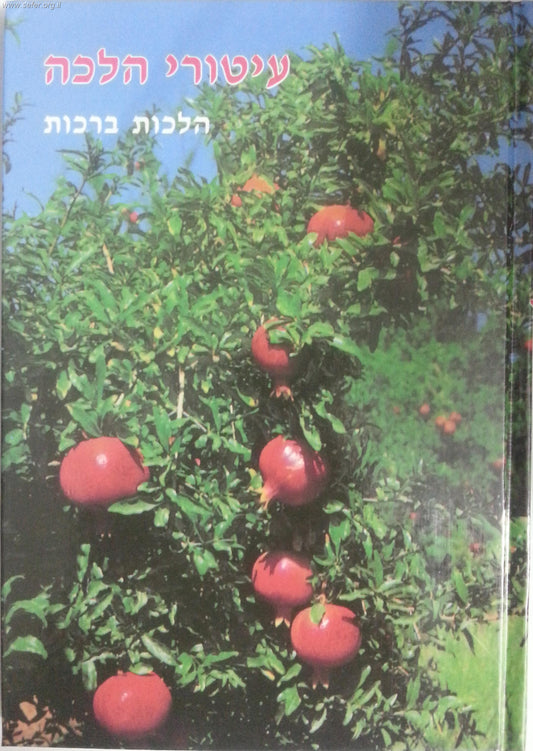 עיטורי הלכה - הלכות ברכות / ר' זאב גרינולד