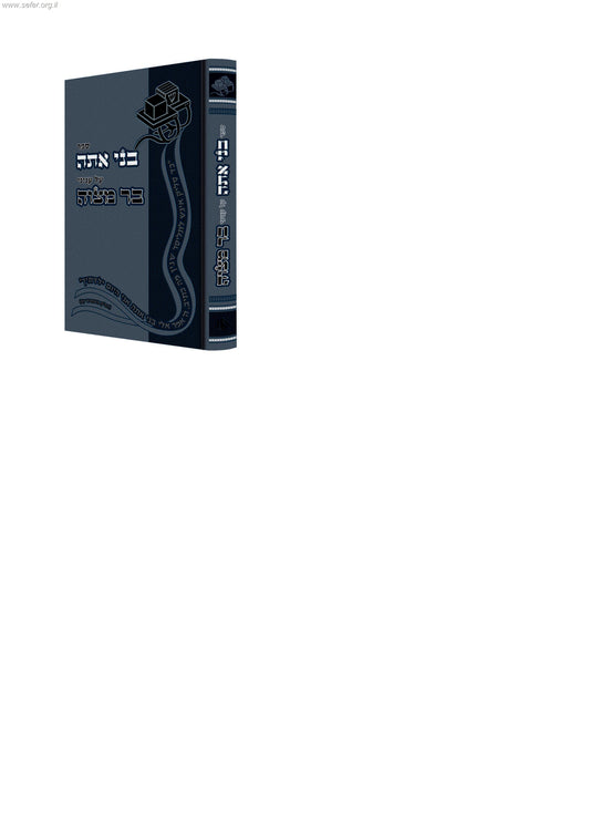 בני אתה (שבילי פנחס) עניני בר מצוה / ר' פנחס פרידמאן