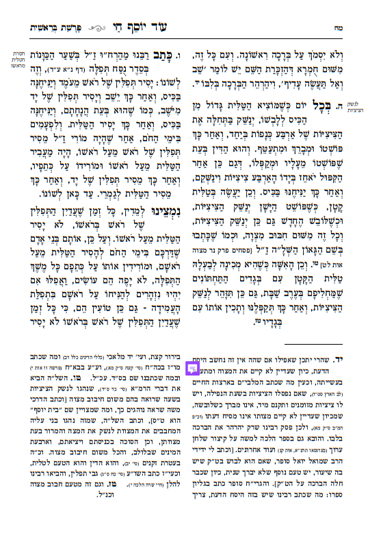 עוד יוסף חי הלכות - מאיר עיניים / עם מקורות וביאורים ושיטות הפוסקים