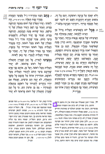 עוד יוסף חי הלכות - מאיר עיניים / עם מקורות וביאורים ושיטות הפוסקים