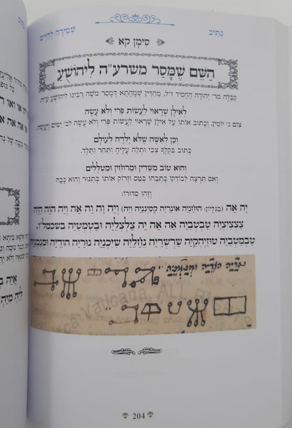 נתיבות שלום - נתיב שמירה לחיים / לפי סדר הרש"ש זלה"ה