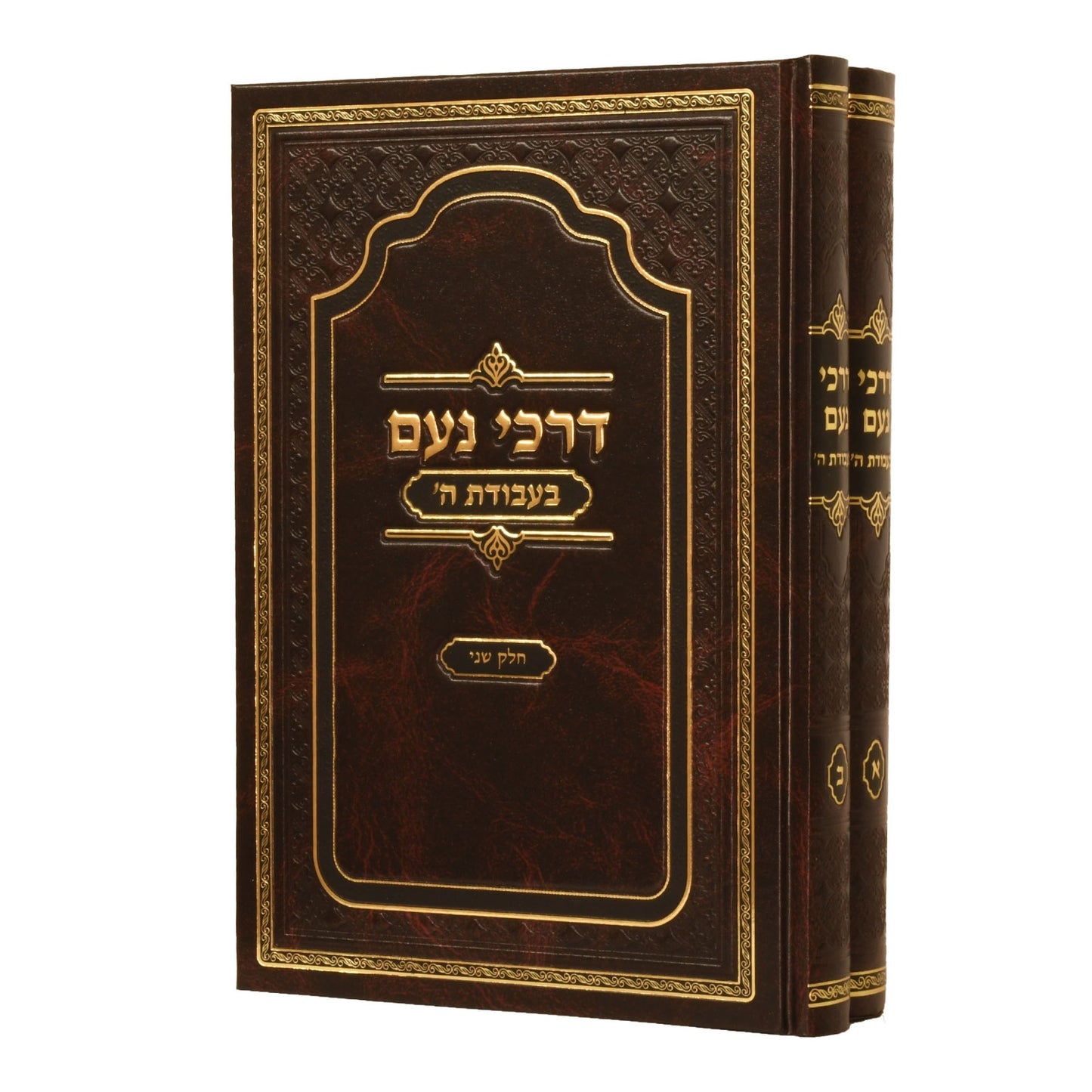 דרכי נועם - בעבודת ה' סט ב' כרכים / האדמו"ר מסלונים שליט"א