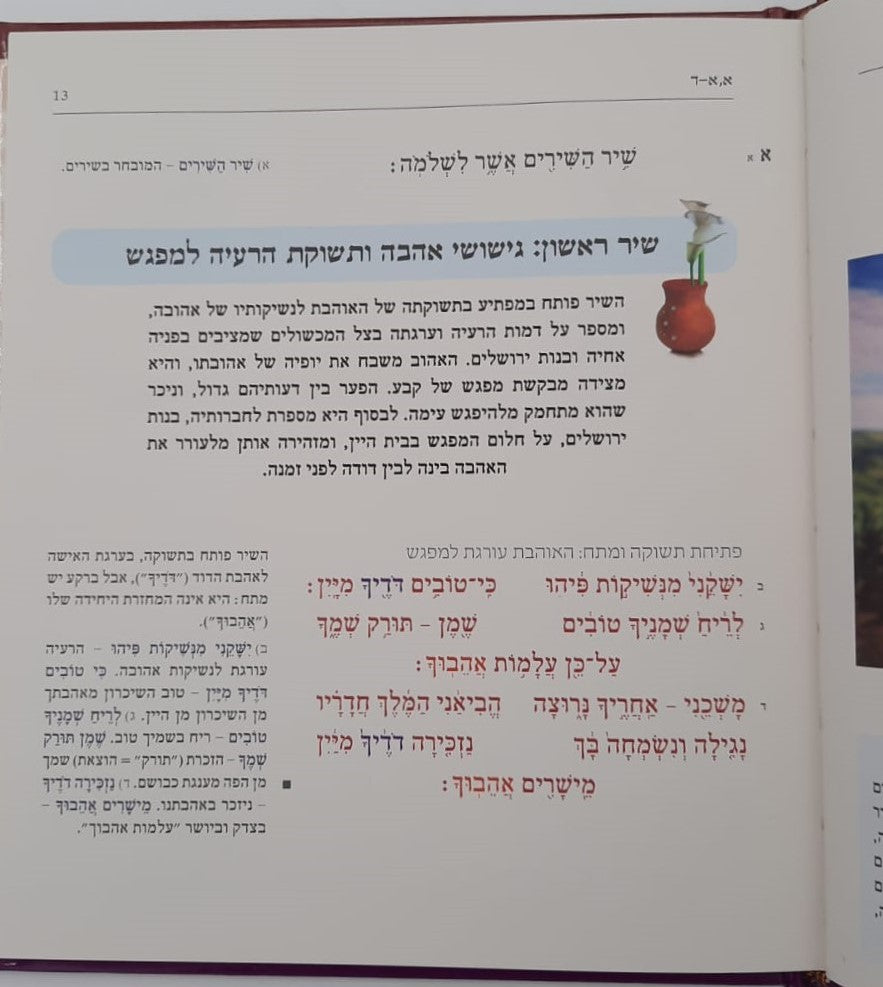 שירה חדשה מתחתנים - שיר השירים חופה וקידושין / מפעל משנה תורה (יוחאי מקבילי)