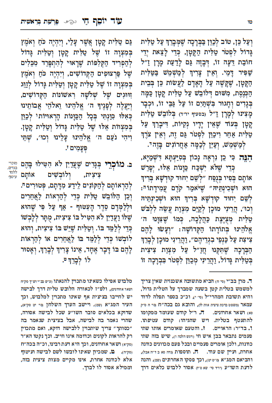 עוד יוסף חי הלכות - מאיר עיניים / עם מקורות וביאורים ושיטות הפוסקים