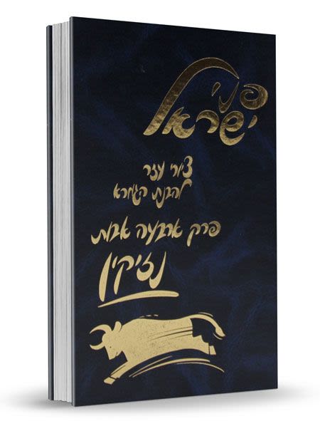 משניות מצויירות - ארבעה אבות נזיקין / פני ישראל