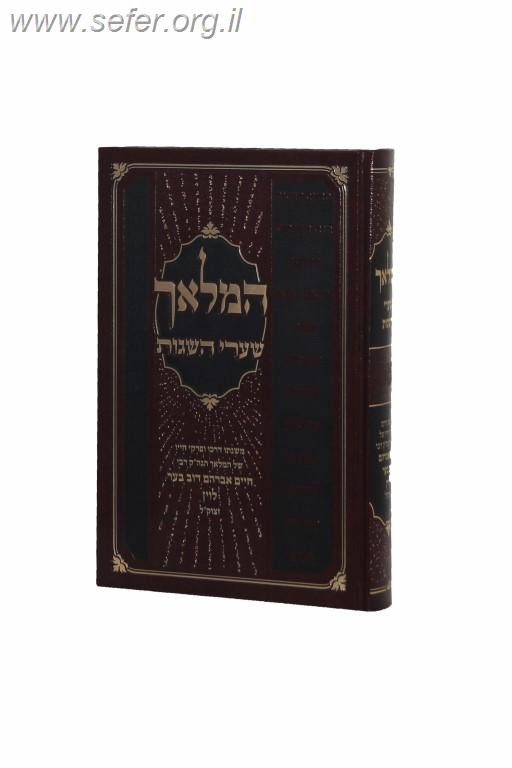 המלאך - שערי השגות / רבי חיים אברהם דוב בער לוין