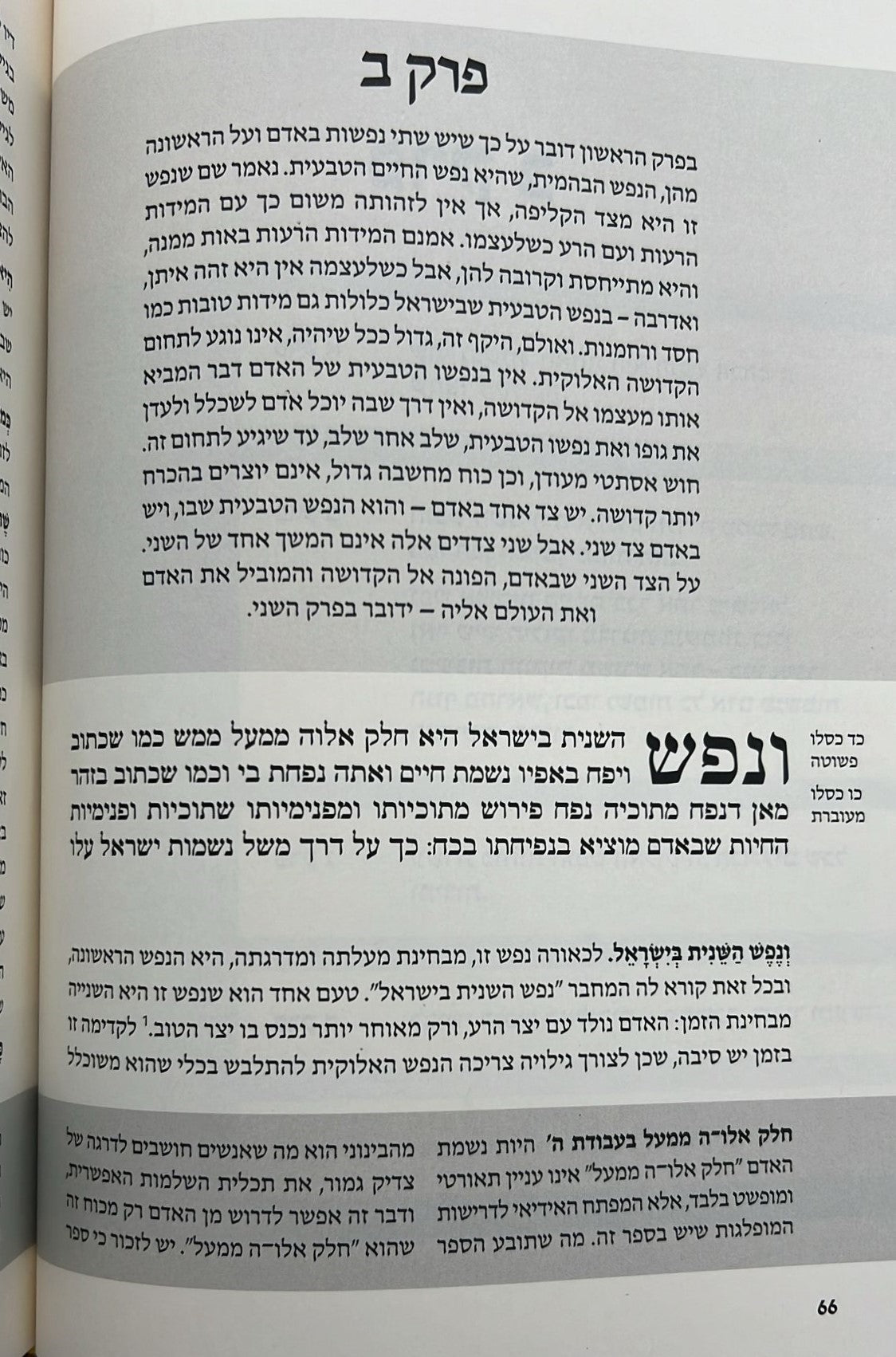התניא המבואר ה' כרכים - הרב עדין שטיינזלץ / מהדורה מחודשת (הסט השלם)