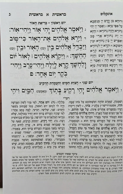 חמשה חומשי תורה - תורה מאירה ה' כרכים / הרב רונן חזיזה