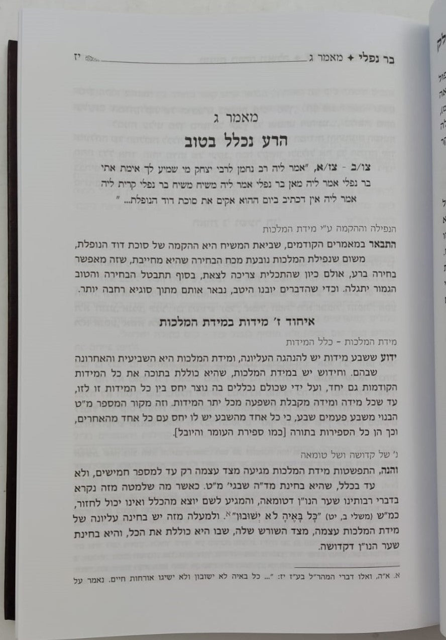 שיעורי פרק חלק / מהגאון רבי משה שפירא זצוק"ל