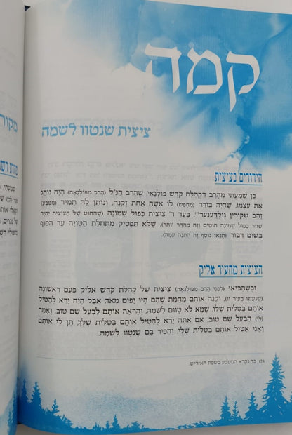 שבחי הבעל שם טוב המבואר / ביאור משולב