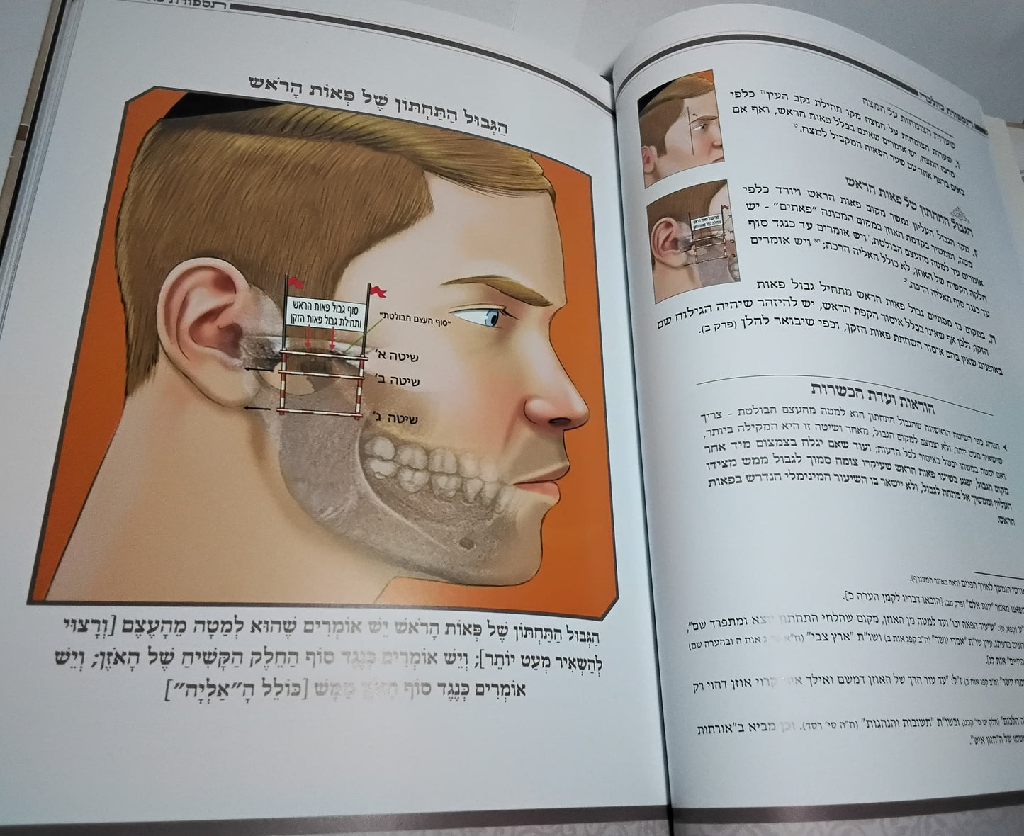 תספורת כהלכה - מדריך הלכתי לספר ולמסתפר / בליווי איורים