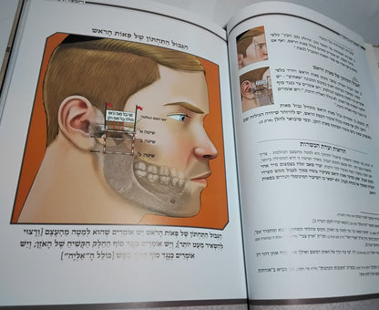 תספורת כהלכה - מדריך הלכתי לספר ולמסתפר / בליווי איורים