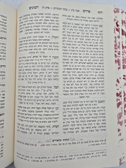 פרדס רימונים להרמ"ק / אהבת שלום