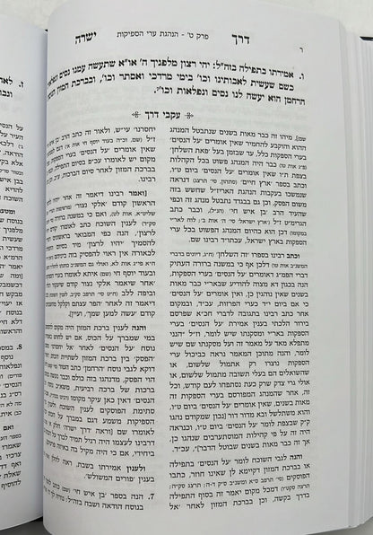 דרך ישרה - הנהגות כרך ב' / הגאון ר' שריה דבלצקי זצ"ל
