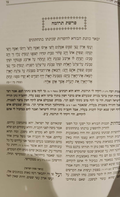 מנחת יהודה - על התורה / אהבת שלום