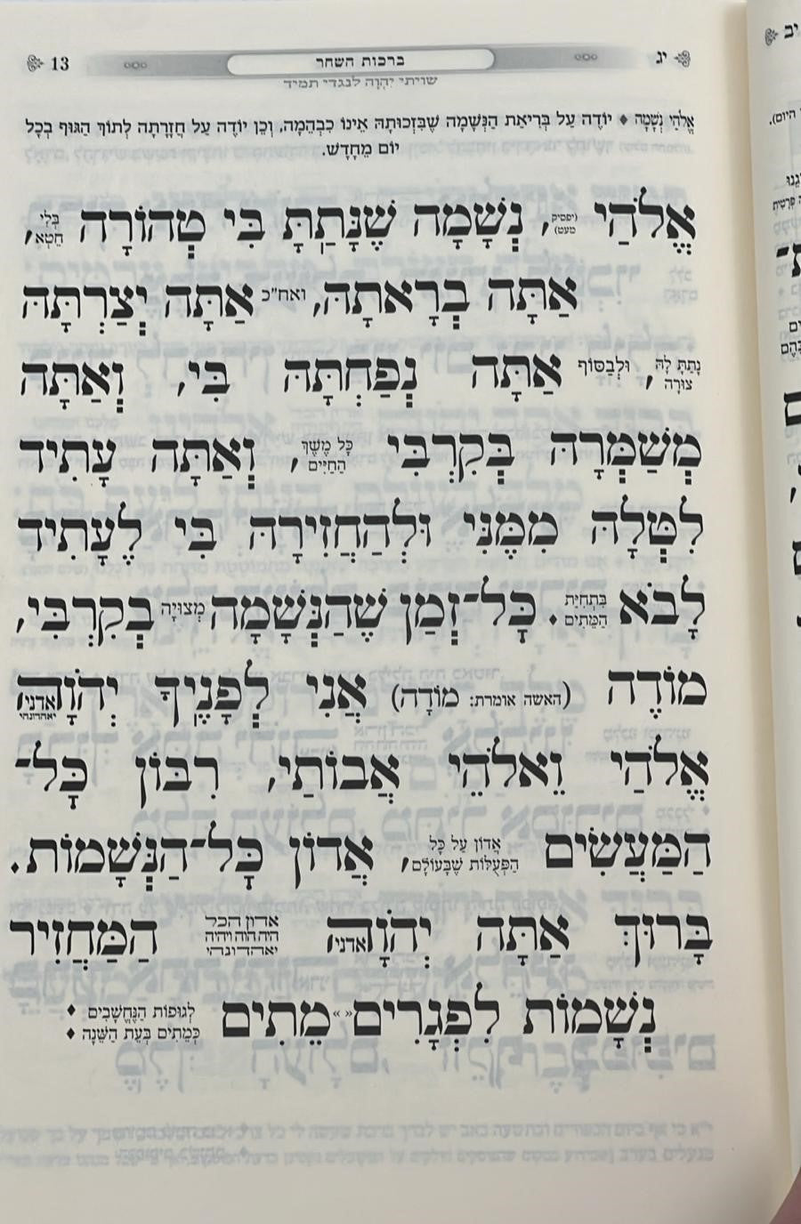 סידור כוונת הלב השלם באותיות גדולות - נוסח ע"מ / פורמט גדול