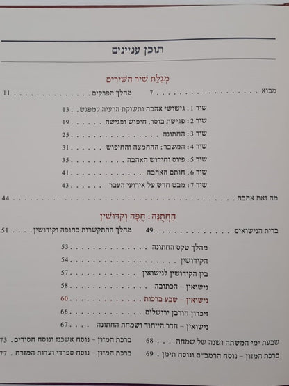 שירה חדשה מתחתנים - שיר השירים חופה וקידושין / מפעל משנה תורה (יוחאי מקבילי)