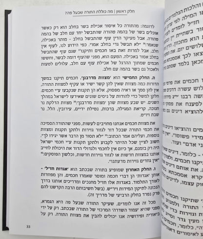 תנו רבנן - מדריך מעשי ללימוד גמרא / אברהם לשם