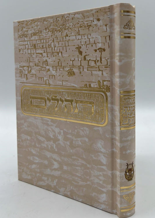 תהילים בינת הלב - בעיטור הכותל המערבי / פורמט בינוני