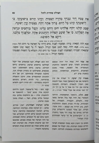 סידור תפילות ישראל / הרש"ר הירש