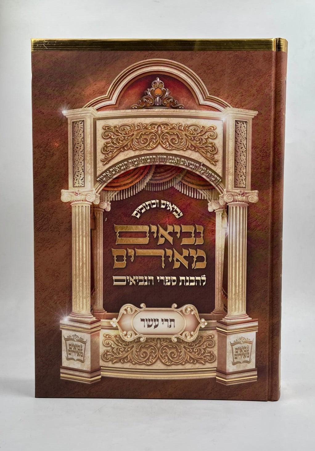 נביאים מאירים - תרי עשר / הרב רונן חזיזה שליט"א
