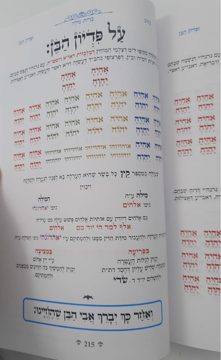 נתיבות שלום - נתיב ברית מילה ופדיון הבן / לפי סדר הרש"ש זלה"ה