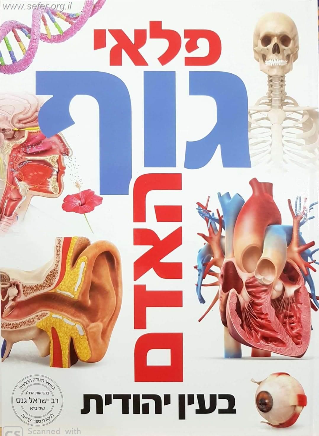 פלאי גוף האדם בעין יהודית