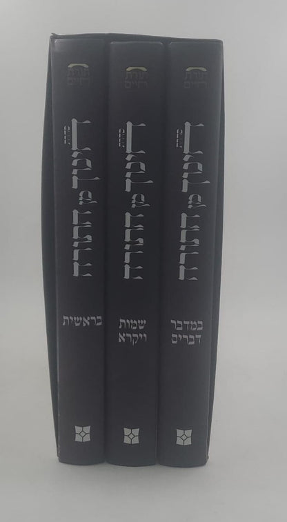 חינוך מן התורה סט