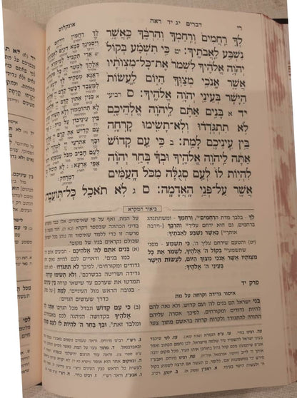 חמשה חומשי תורה שפה ברורה ה' כרכים (כריכה כחולה) / עוז והדר