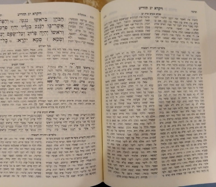 חמישה חומשי תורה עם פירוש המלבי"ם גדול מנוקד / חורב