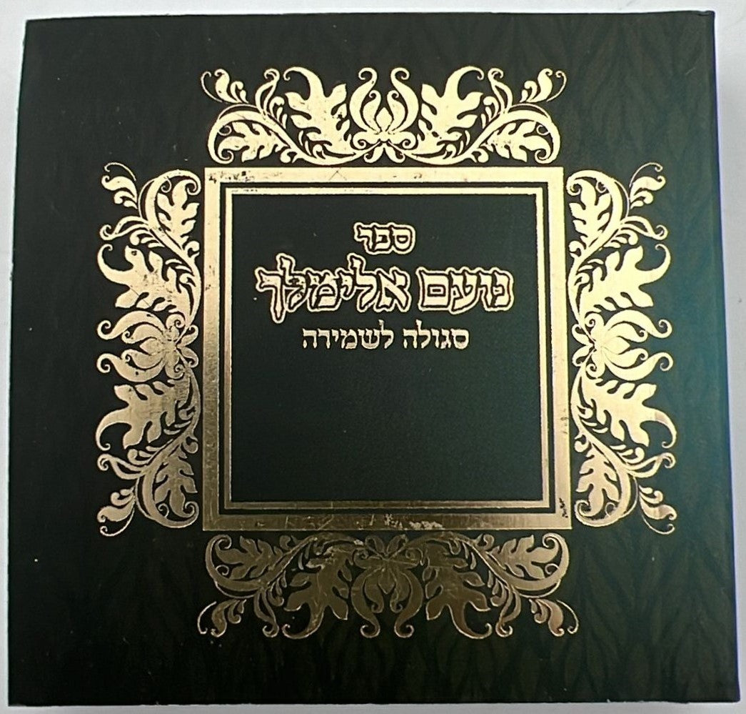 נועם אלימלך - פורמט כיס צבע ירוק שחור עם ניילון / חושן