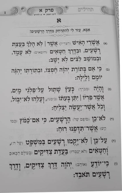 תהילים מאירים - געגועים לה' / הרב רונן חזיזה