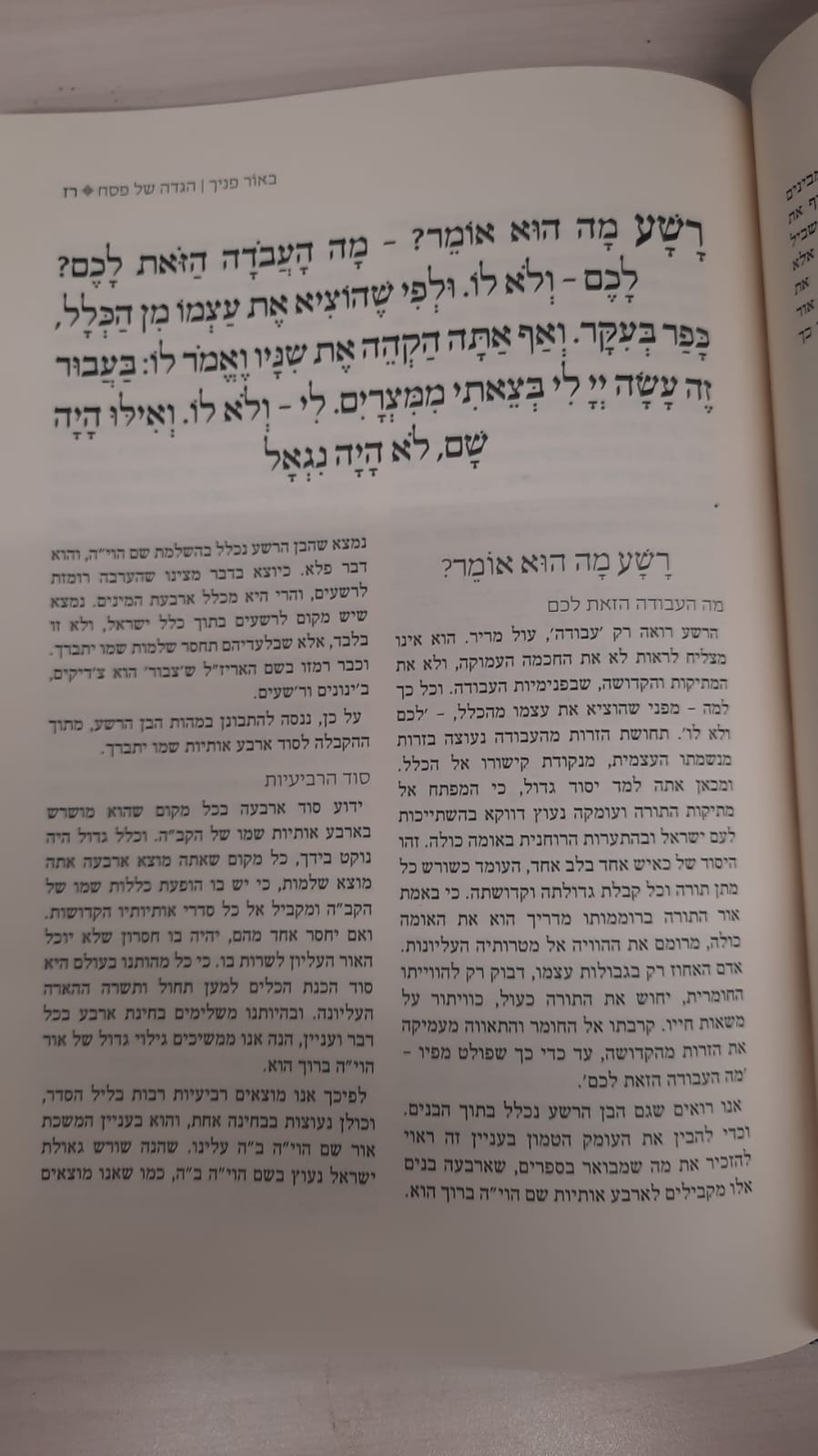 הגדה של פסח - באור פניך / הרב ראובן ששון