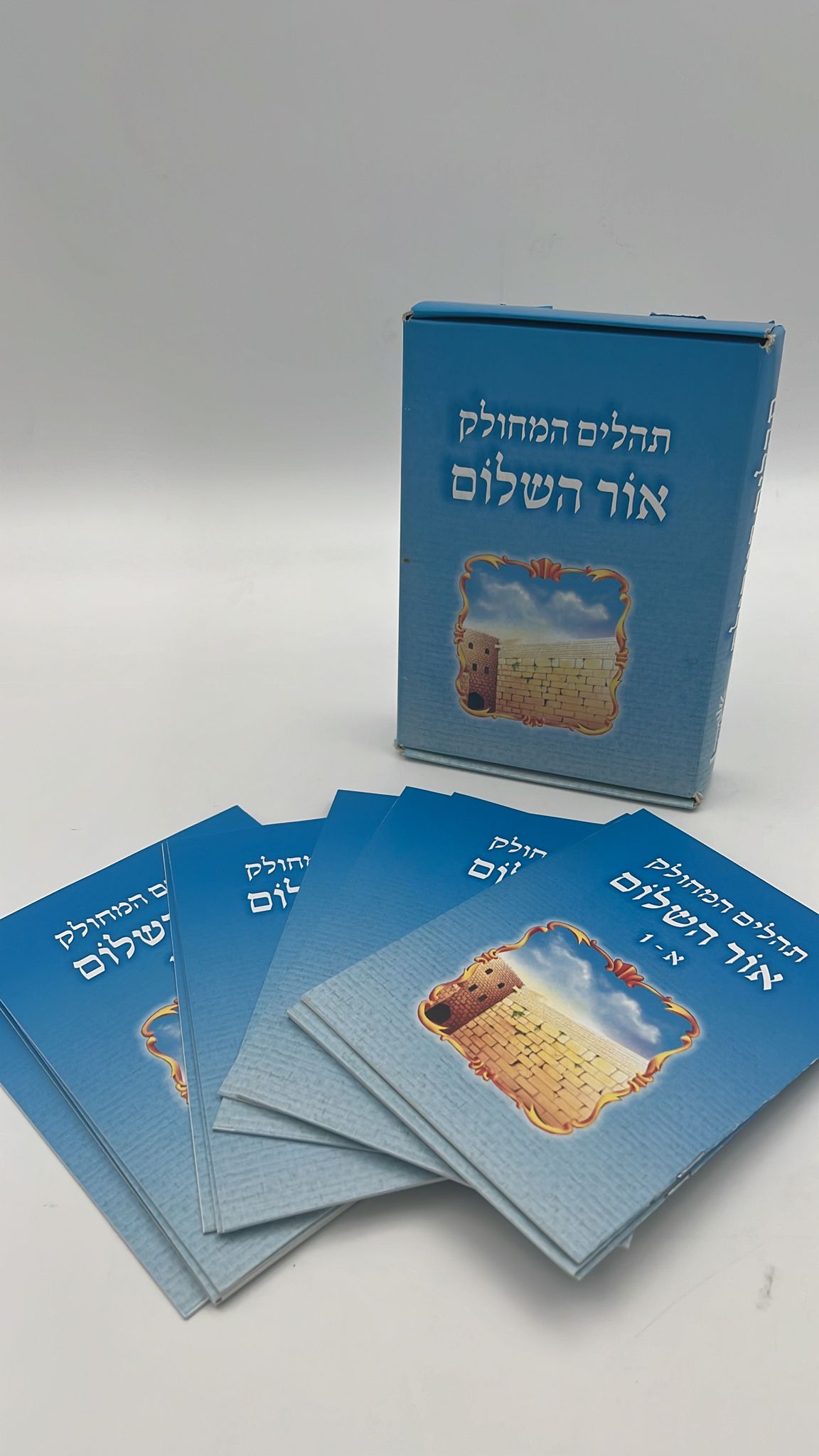תהילים מחולק אור שרגא כח' חוברות - הוצאת אור השלום