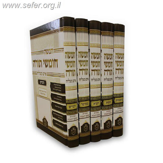 סט חמישה חומשי תורה איש מצליח עם תפילות ה' כרכים