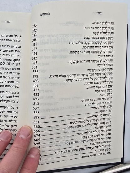 שדי תפוחים המסודר א-ב / תיקונים ותפילות