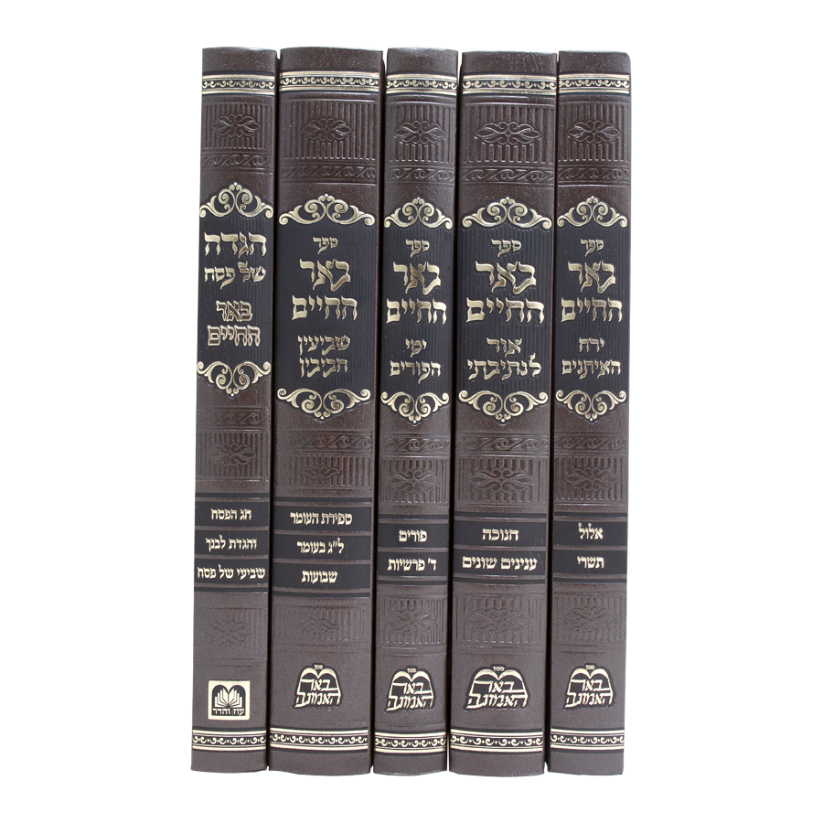 באר החיים ה' כרכים - מועדים / הרב אברהם אלימלך בידרמן שליט"א