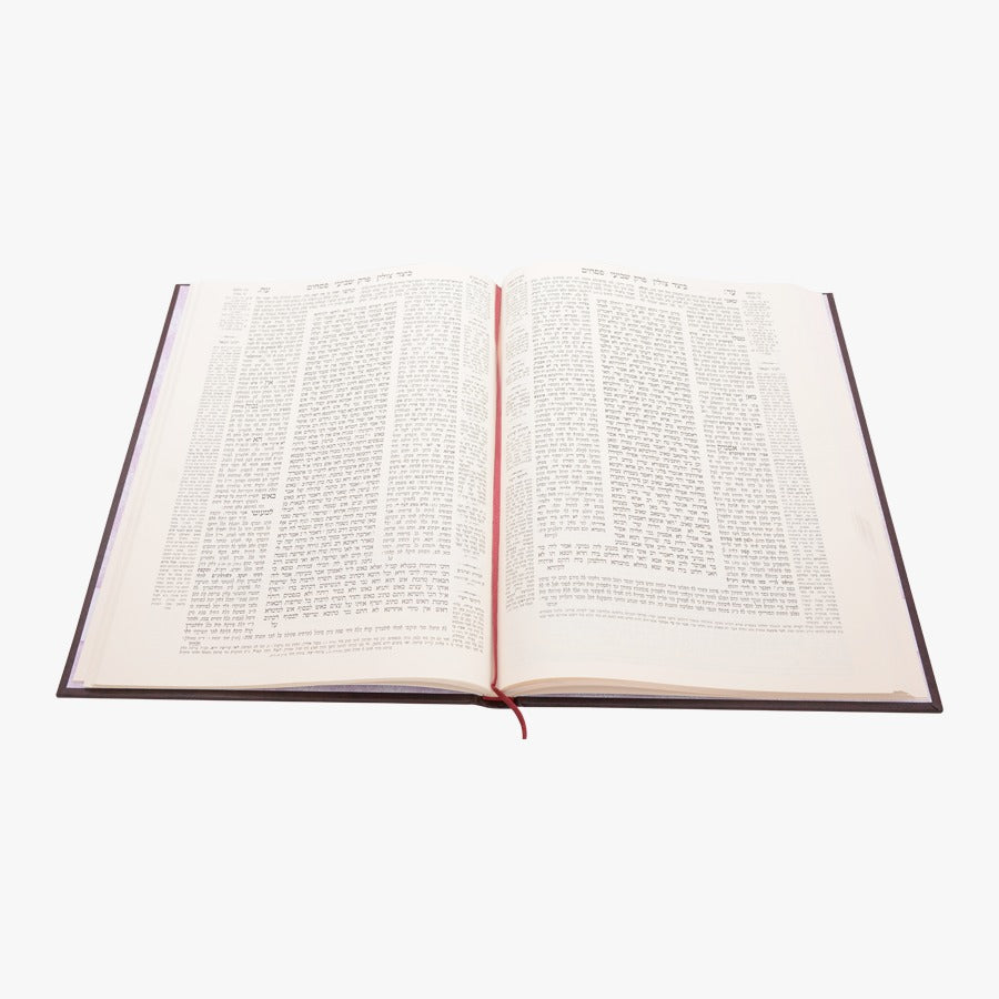 תלמוד בבלי עוז והדר תלמידים (בורדו) בלי מפרשים - מסכת פסחים