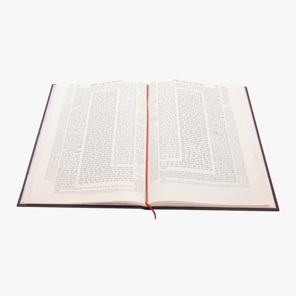 תלמוד בבלי עוז והדר תלמידים (בורדו) בלי מפרשים - מסכת פסחים