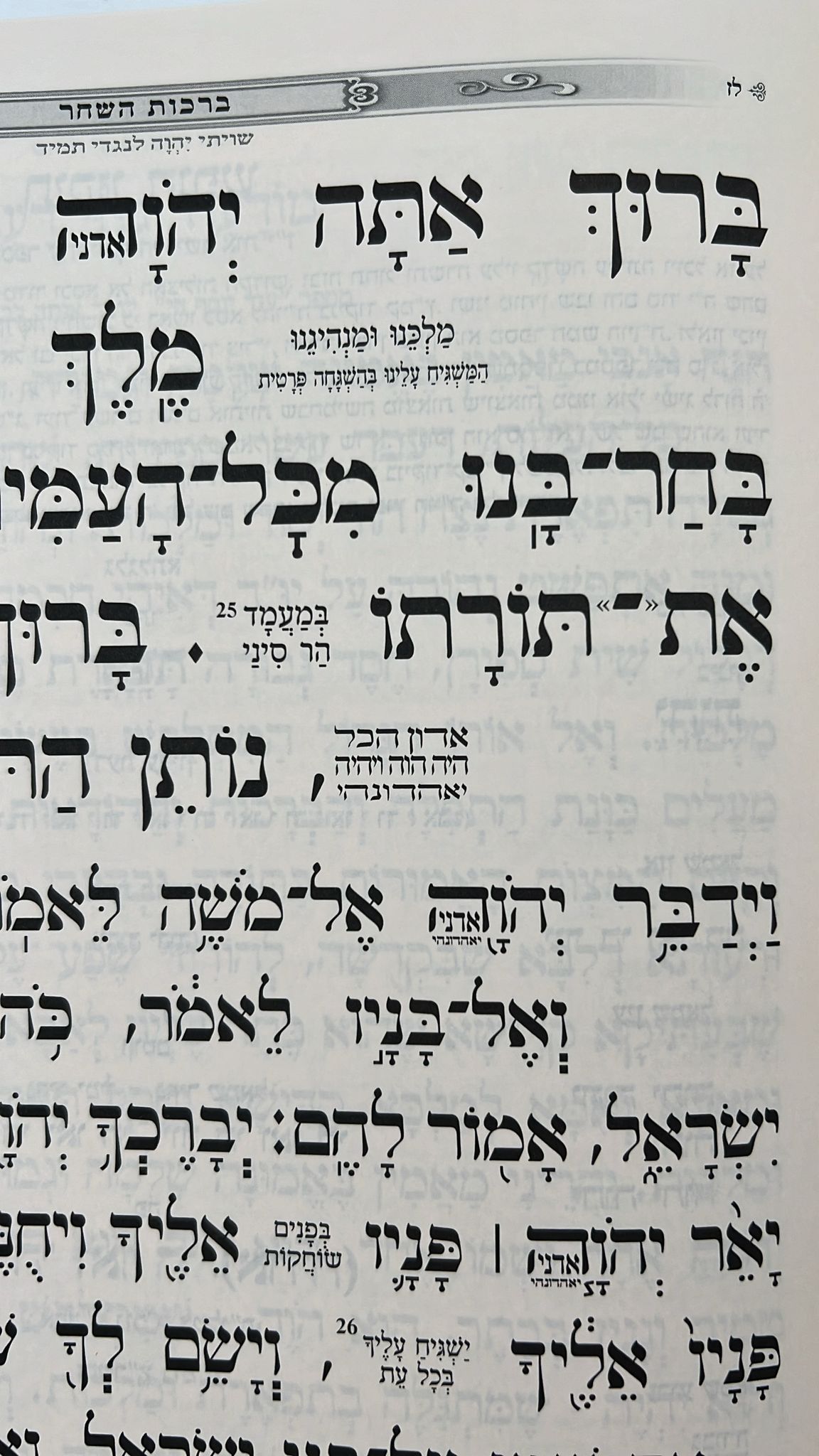 סידור כוונת הלב לשליח ציבור