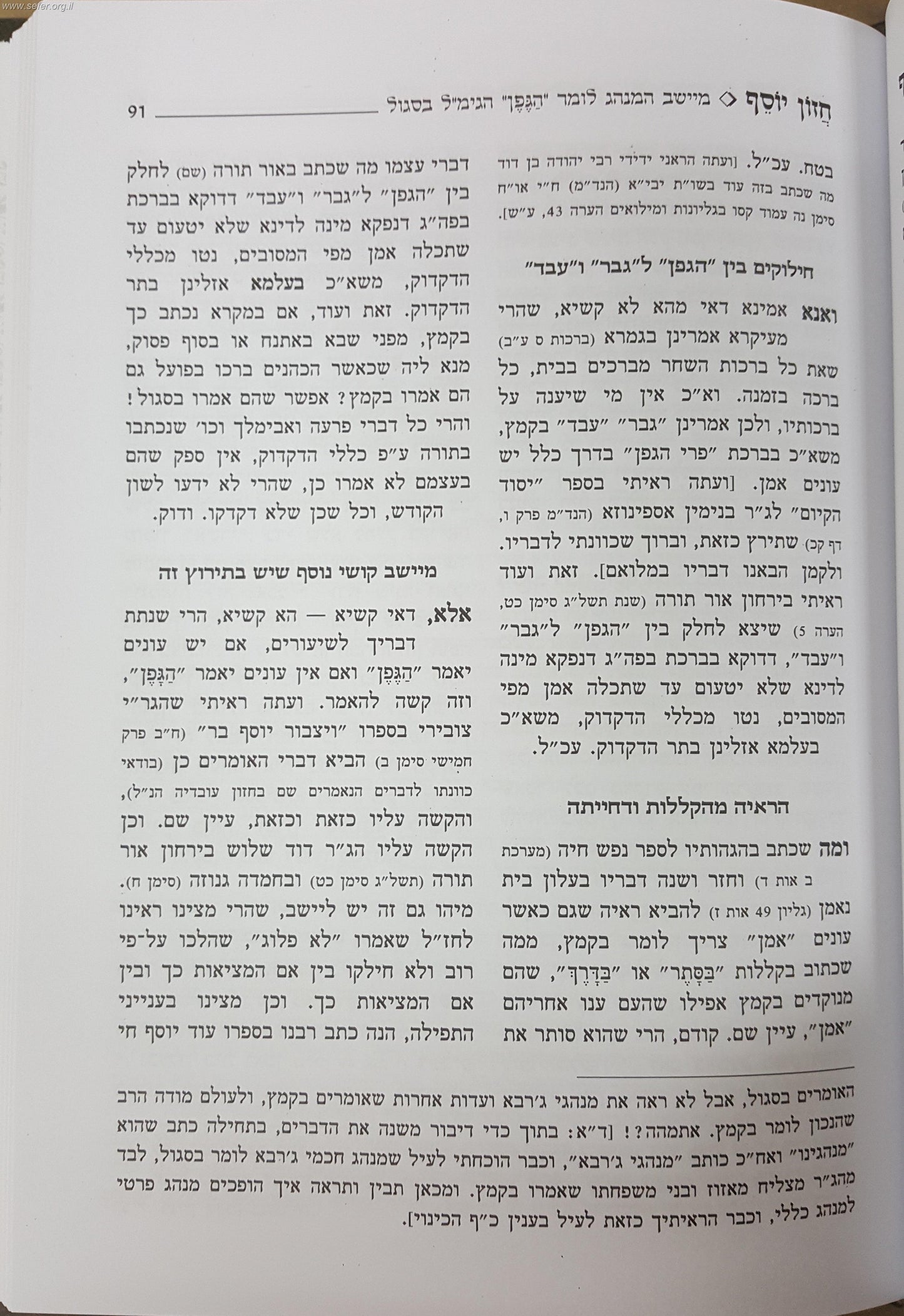 חזון יוסף / יוסף חיים מזרחי