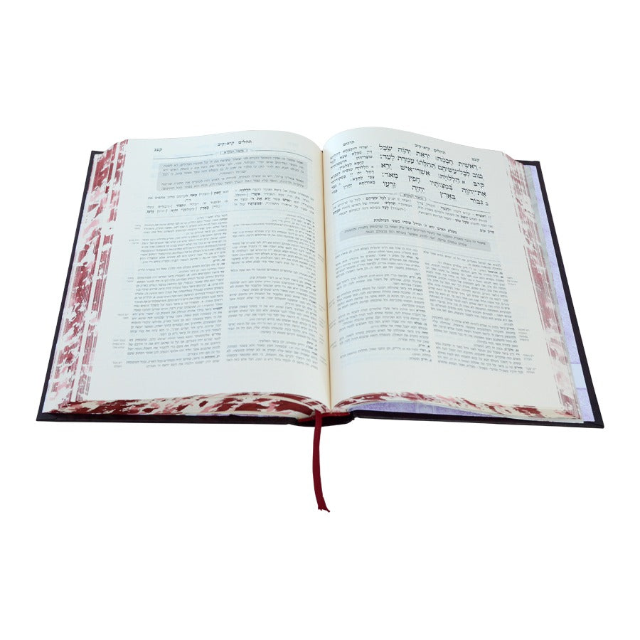 מקרא מפורש על הנ"ך - תהילים ג' / עוז והדר