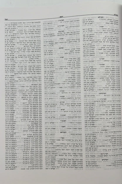 הקונקורדנציה השימושית החדשה לתנ"ך / הרב חיים צבי לייכטאג-וקסמן