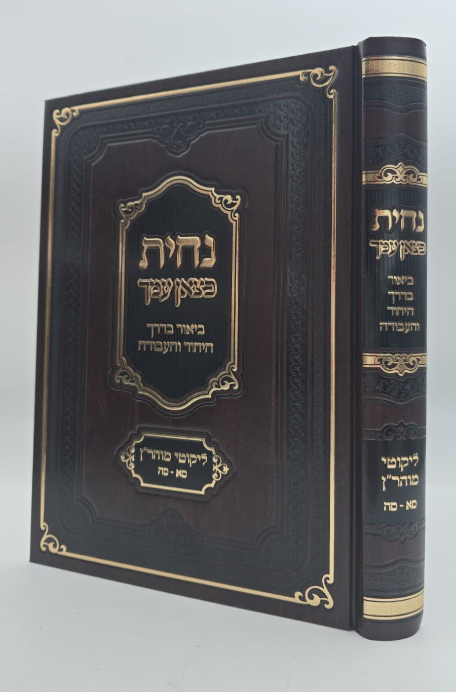 נחית כצאן עמך - ליקוטי מוהר"ן בדרך היחוד והעבודה חלק א' / הרב י.מ מורגנשטרן