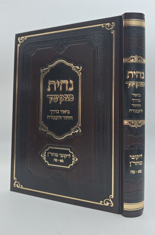 נחית כצאן עמך - ליקוטי מוהר"ן בדרך היחוד והעבודה חלק א' / הרב י.מ מורגנשטרן