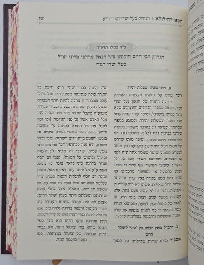 נשמתין חדתין - יומא דהילולא ב' כרכים / הרב י.מ מורגנשטרן